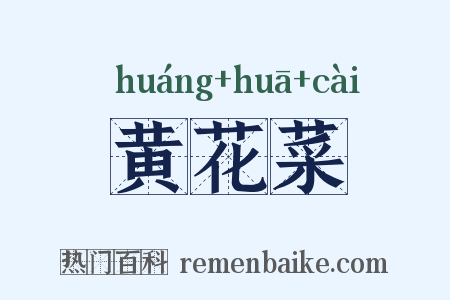 黄花菜是什么意思的图片